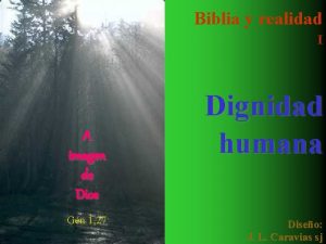 Biblia y realidad I A imagen de Dios