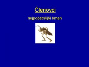 lenovci nejpoetnj kmen nestejn lnkovan tlo a konetiny