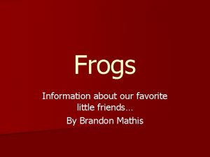 Frogs Information about our favorite little friends By