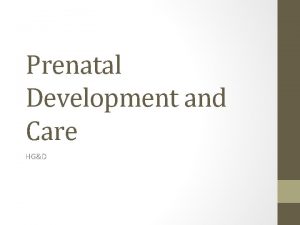 Prenatal Development and Care HGD Pregnancy A woman