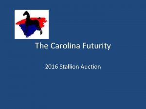 The Carolina Futurity 2016 Stallion Auction Stallions Services