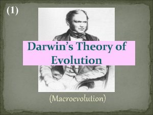 1 Darwins Theory of Evolution Macroevolution 2 Charles