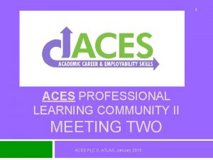 1 ACES PROFESSIONAL LEARNING COMMUNITY II MEETING TWO