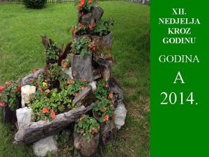 XII NEDJELJA KROZ GODINU GODINA A 2014 Dok