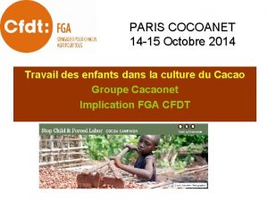 PARIS COCOANET 14 15 Octobre 2014 Travail des