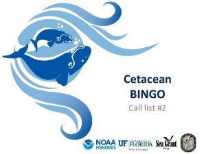 Cetacean BINGO Call list 2 1 These small