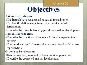 Chapter 22 Objectives Animal Reproduction v Distinguish between