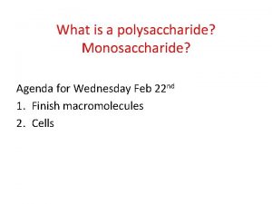 What is a polysaccharide Monosaccharide Agenda for Wednesday