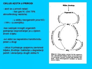 CIKLUS AZOTA U PRIRODI azot se u prirodi