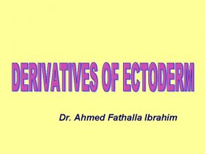 Dr Ahmed Fathalla Ibrahim NOTOCHORD NOTOCHORD NOTOCHORD 1