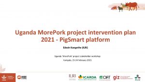 Uganda More Pork project intervention plan 2021 Pig