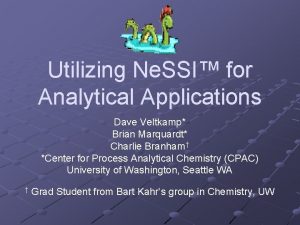Utilizing Ne SSI for Analytical Applications Dave Veltkamp