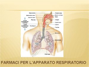 FARMACI PER LAPPARATO RESPIRATORIO Asma e malattie broncopolmonari