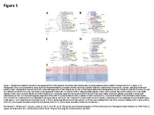 Figure 1 Phylogenetic analysis of sarbecovirus sequenced from