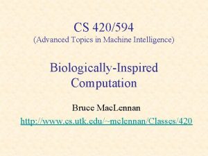 CS 420594 Advanced Topics in Machine Intelligence BiologicallyInspired