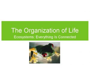 The Organization of Life Ecosystems Everything Is Connected