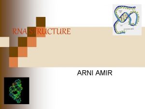 RNA STRUCTURE ARNI AMIR Pendahuluan Ribonucleic acid RNA