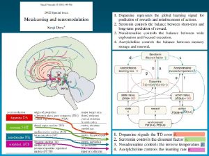 dopamine serotonin DA 5 HT noradrenaline acetylchol NA