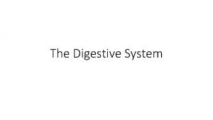 The Digestive System Digestion The process of breaking