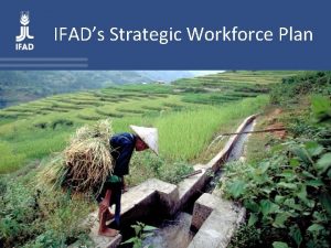 IFADs Strategic Workforce Plan The SWP in IFADs