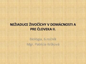 NEIADUCE IVOCHY V DOMCNOSTI A PRE LOVEKA II