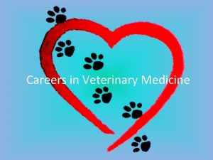 Careers in Veterinary Medicine What do Veterinarians Do