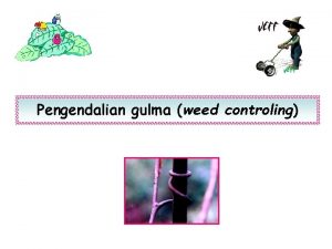 Pengendalian gulma weed controling Pengendalian gulma merupakan subjek