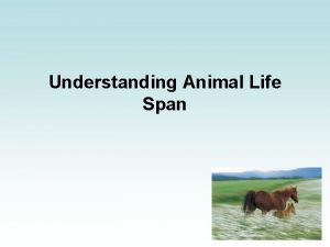 Understanding Animal Life Span Life Span I Live