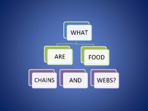 WHAT ARE CHAINS FOOD AND WEBS food chain