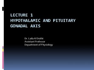 LECTURE 1 HYPOTHALAMIC AND PITUITARY GONADAL AXIS Dr