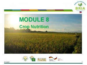 MODULE 8 Crop Nutrition 16 12 2021 1