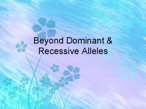 Beyond Dominant Recessive Alleles Genotype and Phenotype Genotype