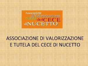 ASSOCIAZIONE DI VALORIZZAZIONE E TUTELA DEL CECE DI