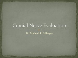 Cranial Nerve Evaluation Dr Michael P Gillespie Brain