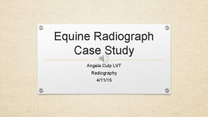 Equine Radiograph Case Study Angela Culp LVT Radiography