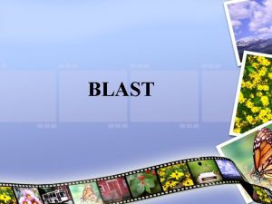 BLAST What is BLAST Basic Local Alignment Search