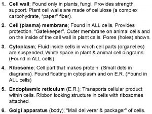 1 Cell wall Found only in plants fungi