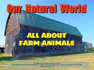 Our Natural World ALL ABOUT FARM ANIMALS Our