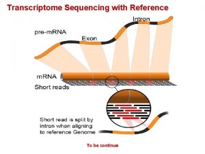 Transcriptome Sequencing with Reference To be continue Transcriptome