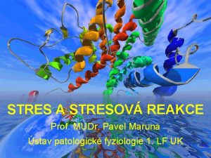 STRES A STRESOV REAKCE Prof MUDr Pavel Maruna