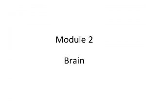 Module 2 Brain Brain Anatomy Lobes of Cerebrum