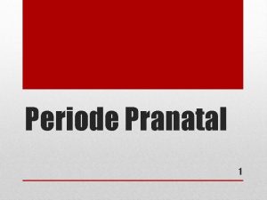 Periode Pranatal 1 Periode Prakelahiran prenatal periode Pengertian