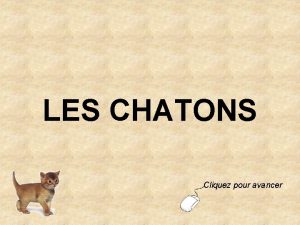 LES CHATONS Cliquez pour avancer Une petite fille