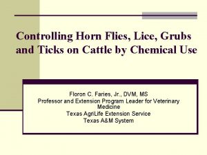 Controlling Horn Flies Lice Grubs and Ticks on