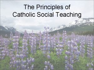 The Principles of Catholic Social Teaching Catholic Social