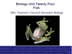 Biology Unit Twenty Four Fish Mrs Pearsons Second
