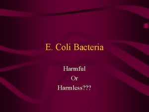 E Coli Bacteria Harmful Or Harmless Is part