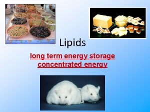 Lipids long term energy storage concentrated energy Lipids