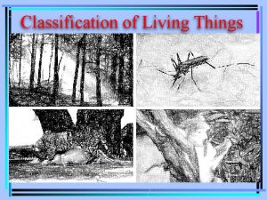 Classification of Living Things Taxonomy is the science