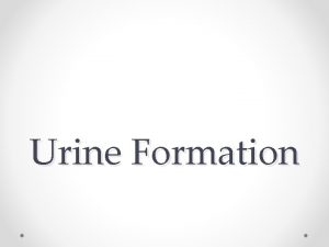 Urine Formation Urine Formation The process of urine